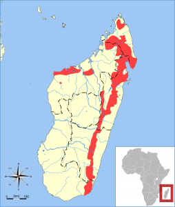 Falanouc Distribution Map