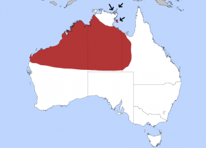 Spiny Tailed Monitor Distribution Map