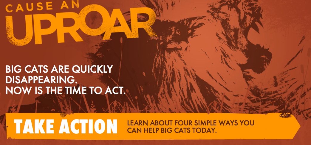 Cause An Uproar_Help Save Big Cats Initiative