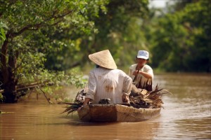 Wetlands in the Greater Mekong Delta